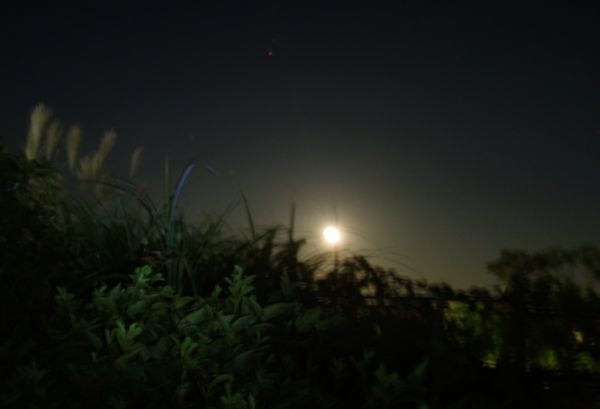 c0227134_9412671.jpg