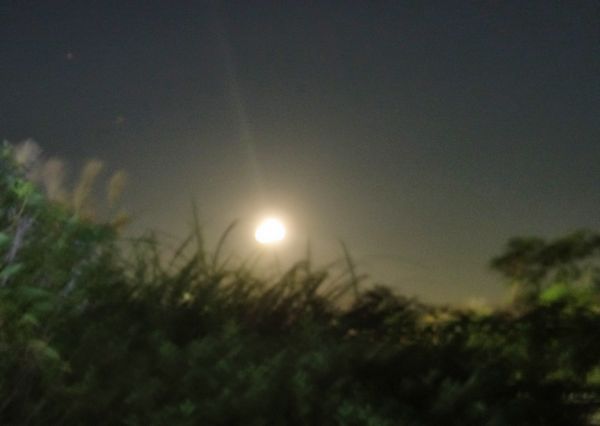 c0227134_9414232.jpg