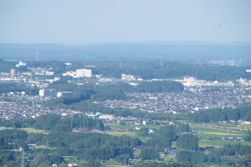 a0014141_21582411.jpg