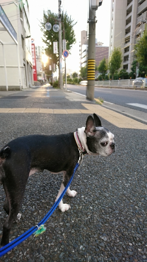 a0074543_08441219.jpg