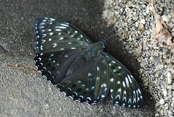 c0162844_05352868.jpg