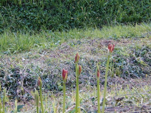 d0118050_22230444.jpg