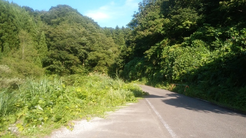 a0073554_22013255.jpg