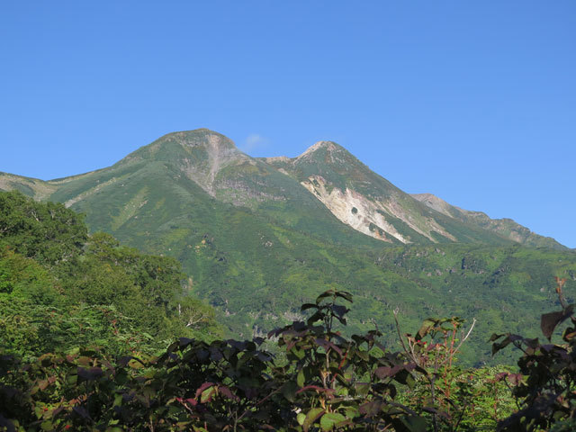 c0116856_20522610.jpg