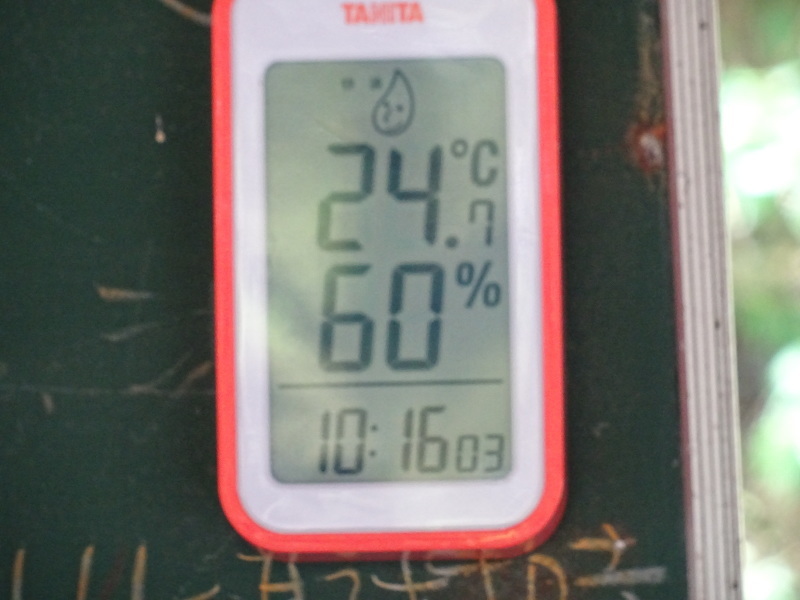 c0108460_22565705.jpg