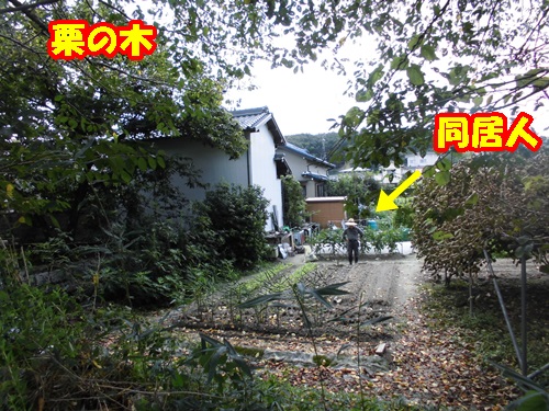 a0331562_1837270.jpg