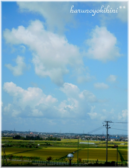 d0337265_2223616.jpg