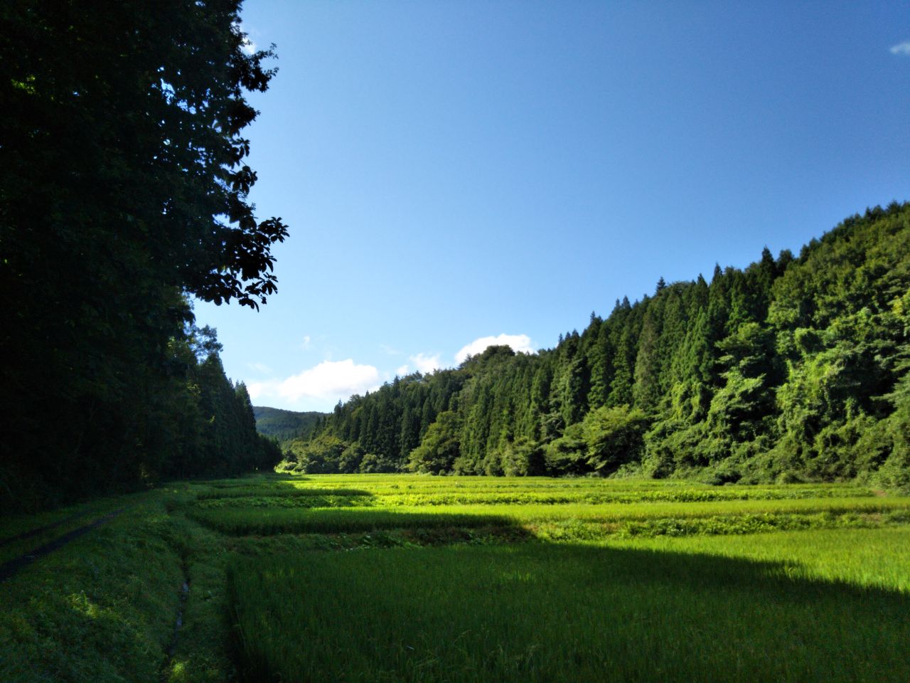 f0208665_10115678.jpg