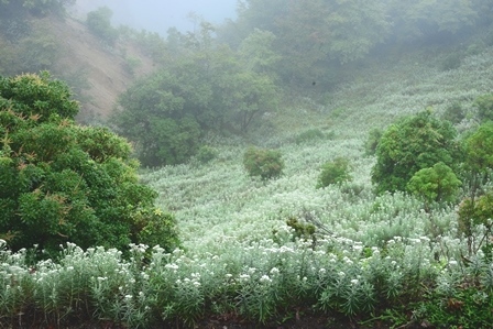 c0303868_04142159.jpg