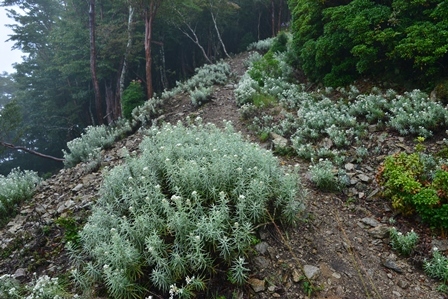 c0303868_04162111.jpg