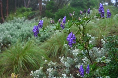 c0303868_04164250.jpg