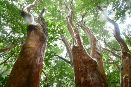 c0303868_04265659.jpg