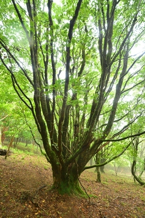 c0303868_04275822.jpg