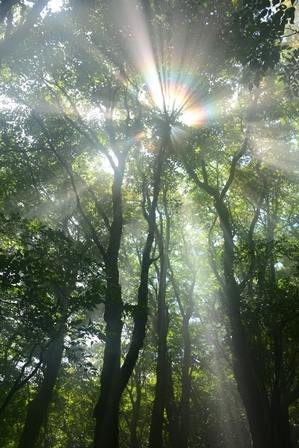 c0303868_04323936.jpg