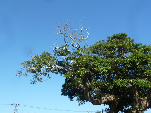 e0278968_21145269.jpg