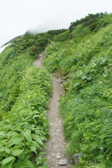e0307372_18450586.jpg