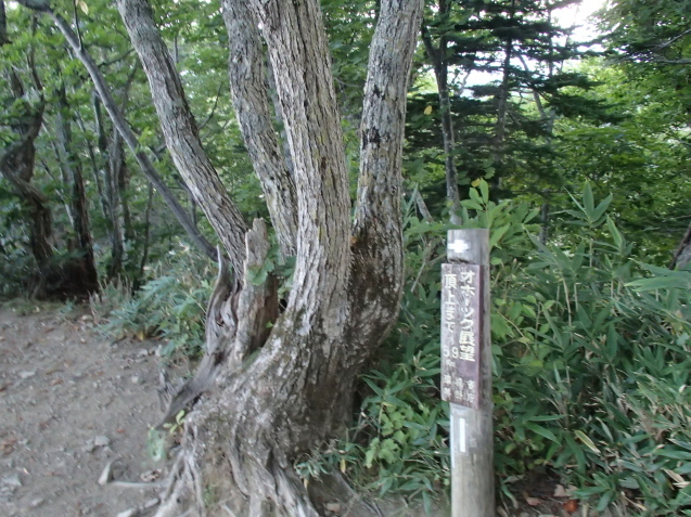 f0130376_13314845.jpg