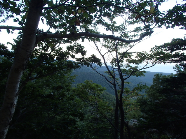 f0130376_13334320.jpg