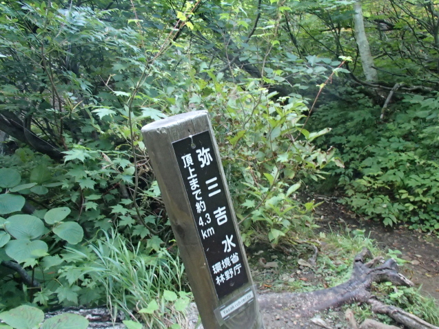 f0130376_13361901.jpg