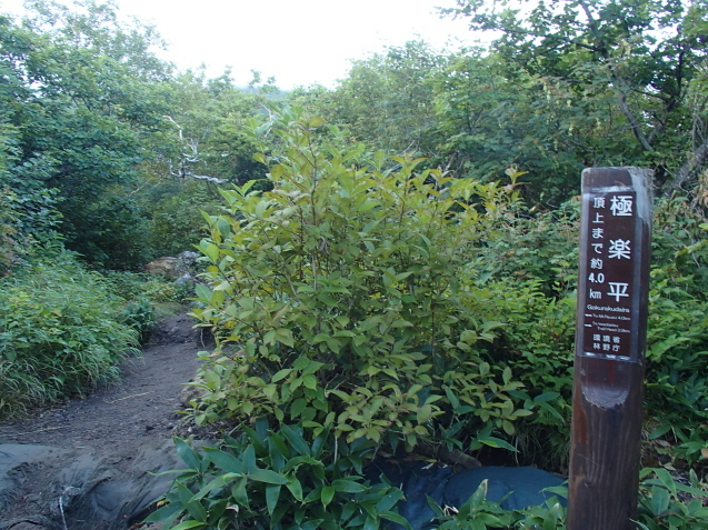 f0130376_13382684.jpg
