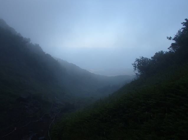 f0130376_13404209.jpg