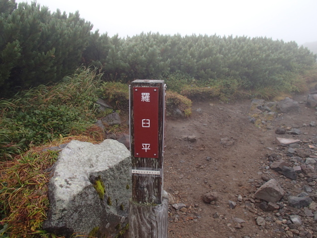 f0130376_13411067.jpg