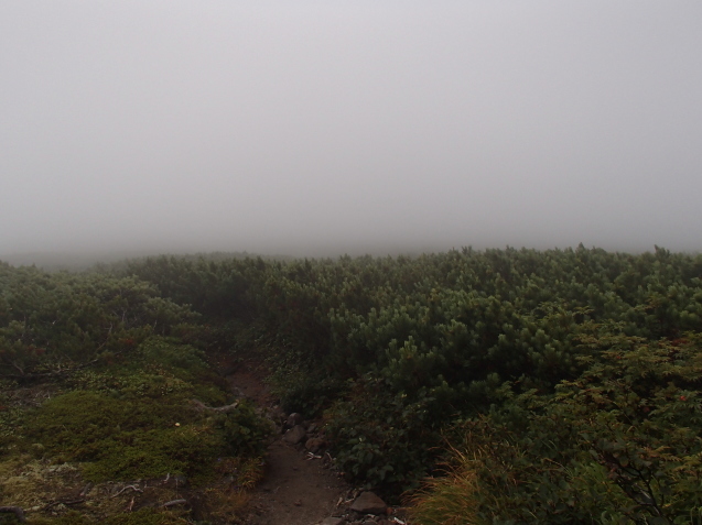 f0130376_13431835.jpg