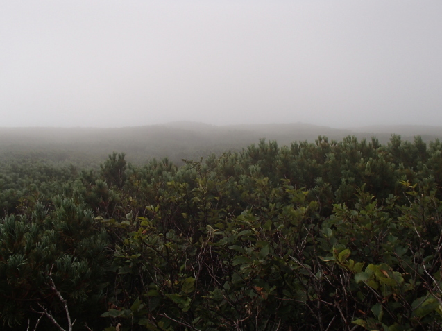 f0130376_16590798.jpg