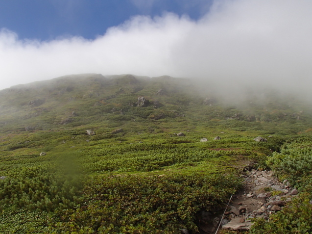 f0130376_16591434.jpg