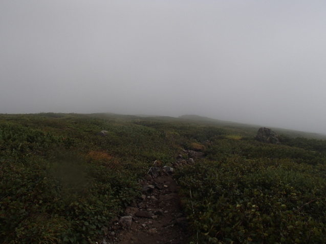 f0130376_16592310.jpg