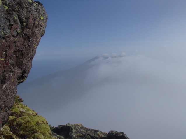 f0130376_16595880.jpg