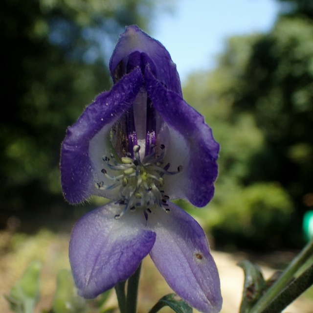 c0183777_645732.jpg
