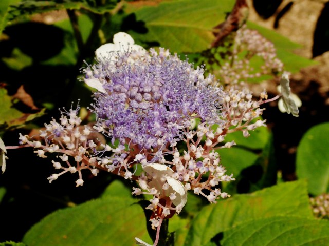 c0183777_6592813.jpg