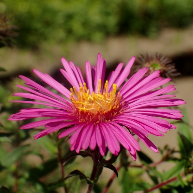 c0183777_701491.jpg