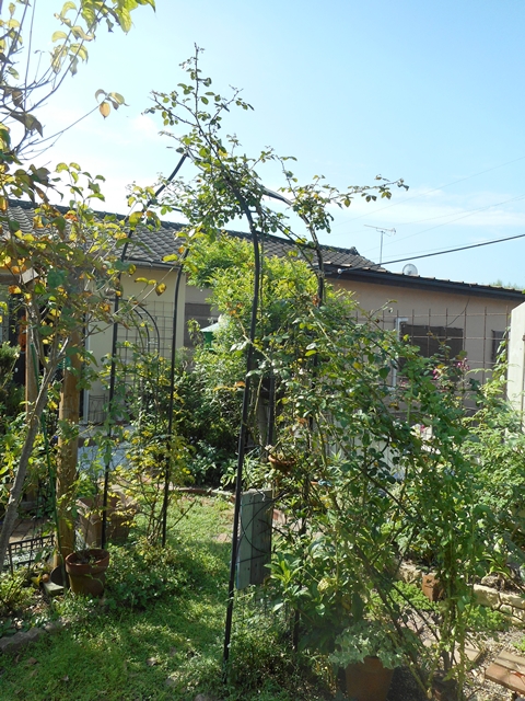 f0366679_22323453.jpg