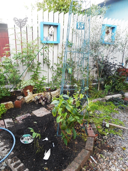 f0366679_2232532.jpg
