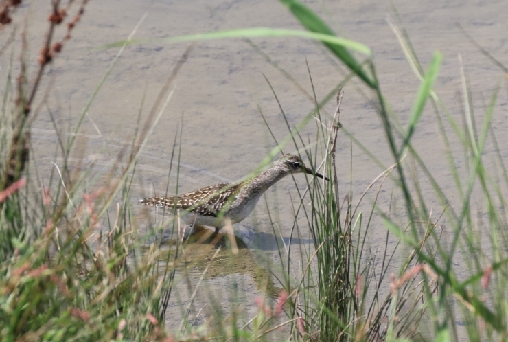 f0378282_10022874.jpg
