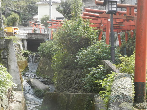 c0380989_11374836.jpg