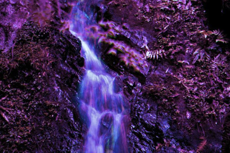 e0360589_20505898.jpg