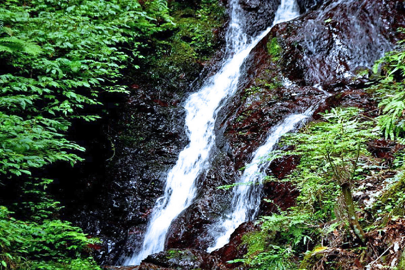 e0360589_20511491.jpg