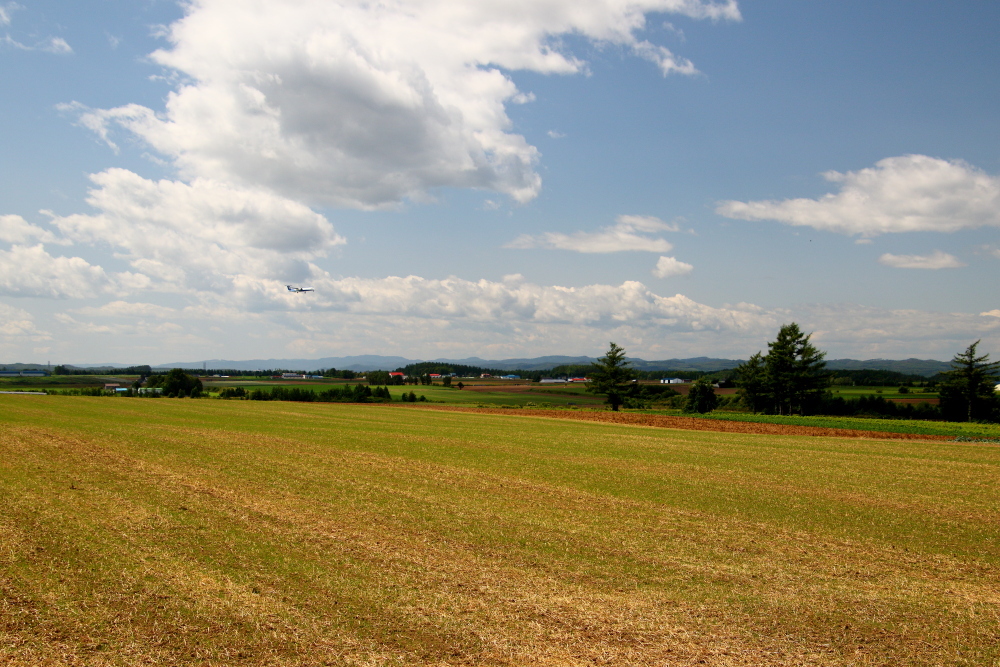 e0204891_19535156.jpg