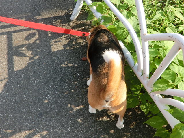 a0319693_10123369.jpg