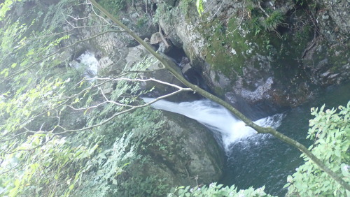 a0338094_17373984.jpg