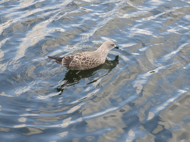 f0346196_18213740.jpg