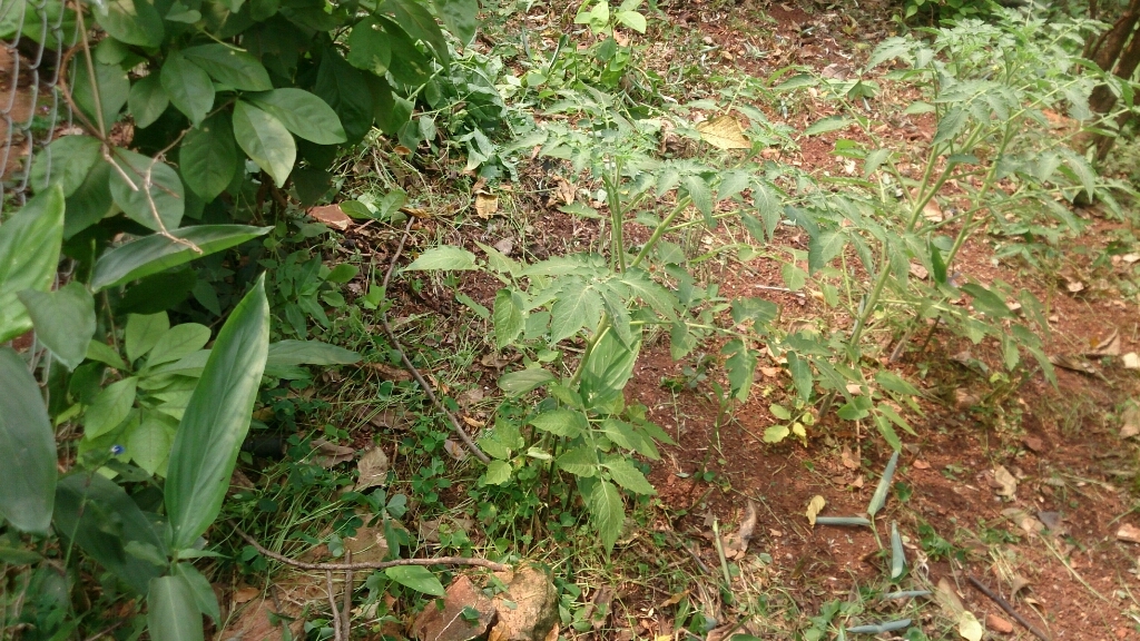f0225800_10015459.jpg