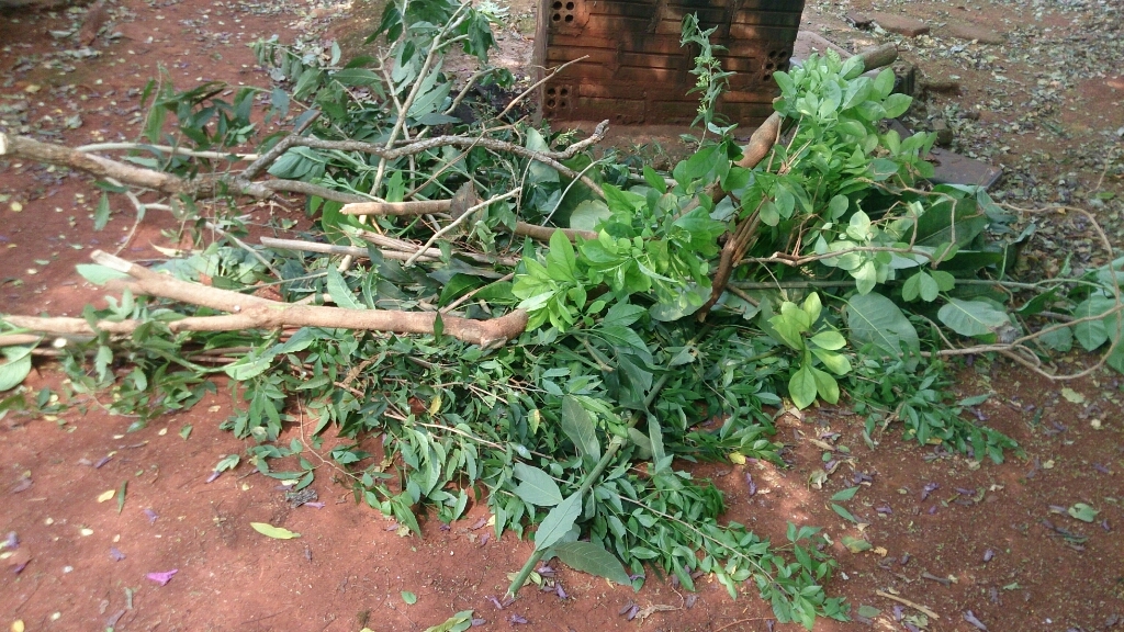 f0225800_10020574.jpg