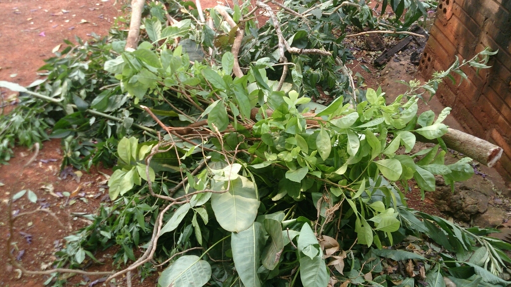 f0225800_10021817.jpg