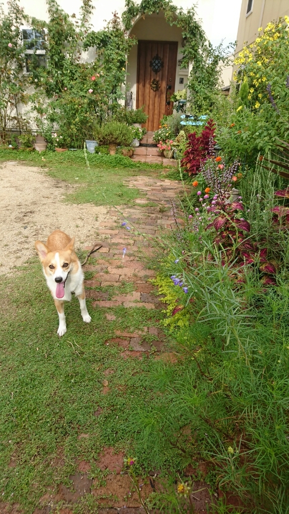 f0371101_22305213.jpg