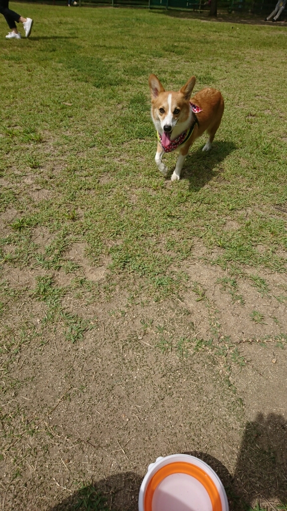 f0371101_22305992.jpg