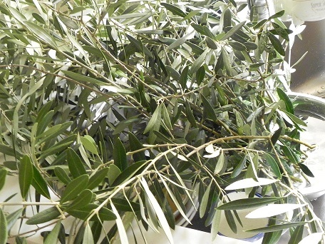 c0152002_17341459.jpg